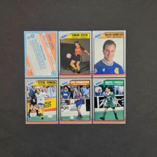 Pacific: MISL 1989-1990 (USA)