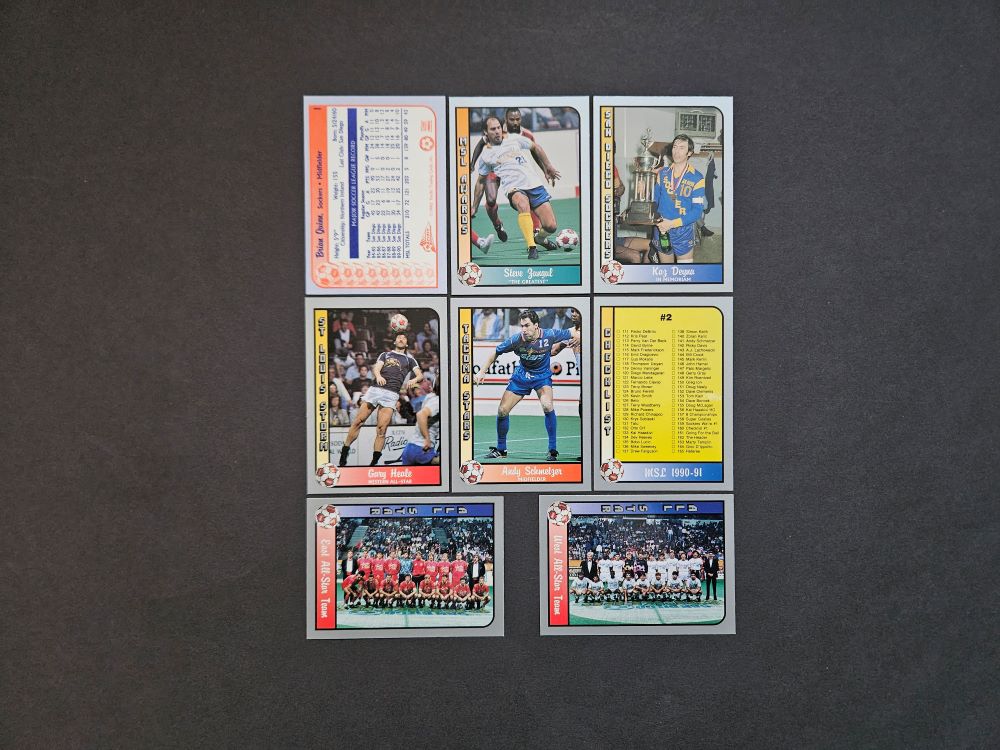 Pacific: MISL 1990-1991 (USA)