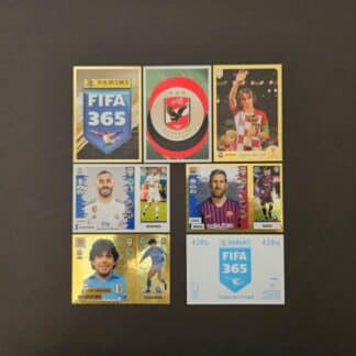 Panini: FIFA 365 2019 (446 sticker version, blue backs)