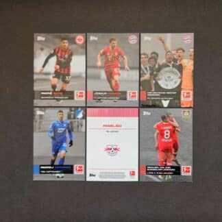 Topps: STARS OF THE SEASON 2020-2021 (basic version, Germany)