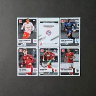 Topps: STARS OF THE SEASON 2021-2022 (basic version, Germany)