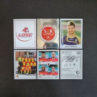 Panini: FOOT 2011 (France)