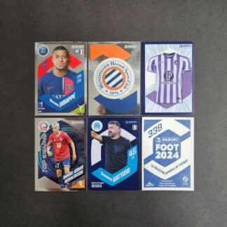 Panini: FOOT 2024 (France)