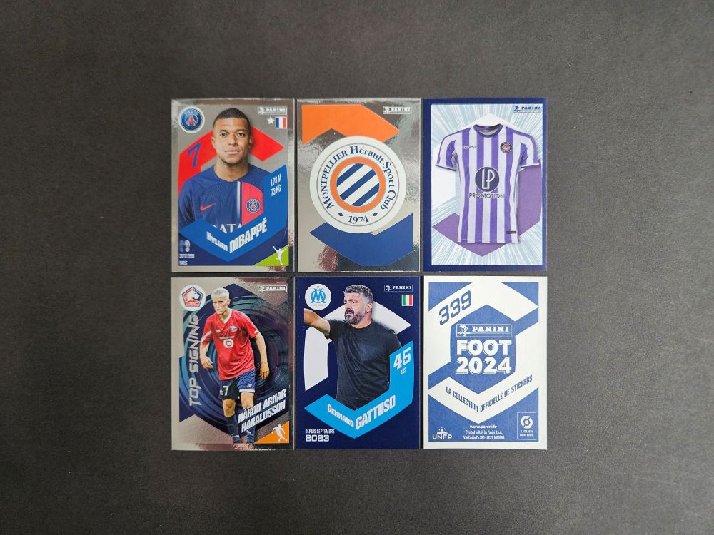 Panini: FOOT 2024 (France)
