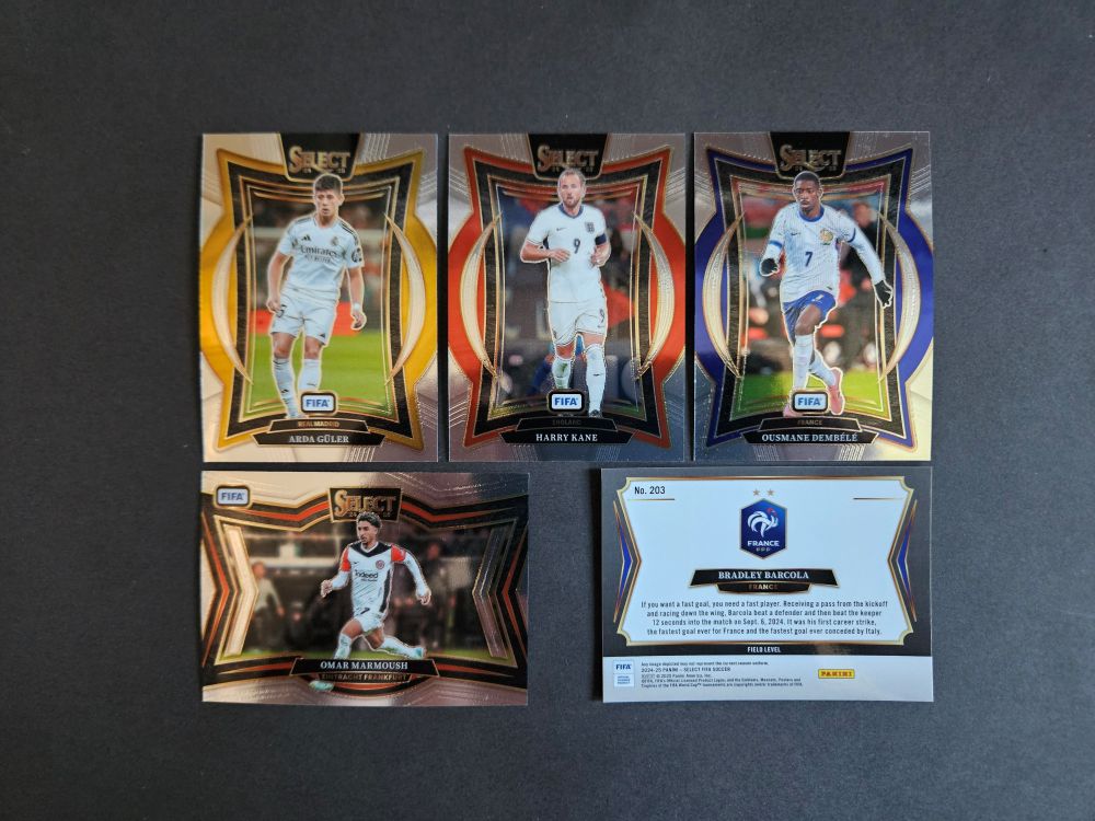 Panini: SELECT FIFA SOCCER 2024-2025 (Base)